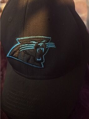 NFL Black Carolina Panthers Logo Cap